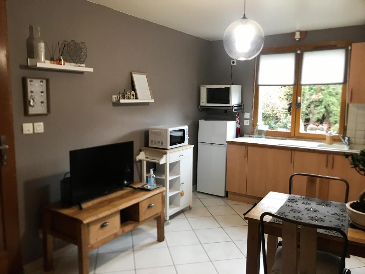 Charmant Appartement 2-4 Personnes Entre Annecy Et Aravis 톤느 외부 사진